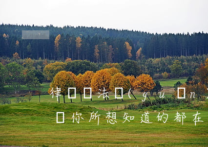 律師說法：關(guān)于離婚精神損害賠償你所想知道的都在這里。